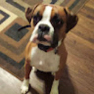 Meet your Posher, Paige